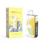 kamry-ice-50k-disposable-vape-Pineapple-lce_713x